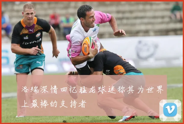 洛瑞深情回忆猛龙球迷称其为世界上最棒的支持者