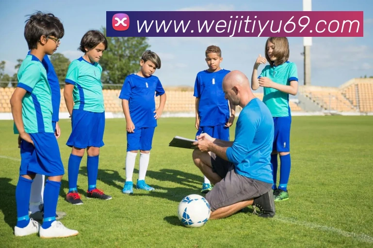 维基体育平台生态图