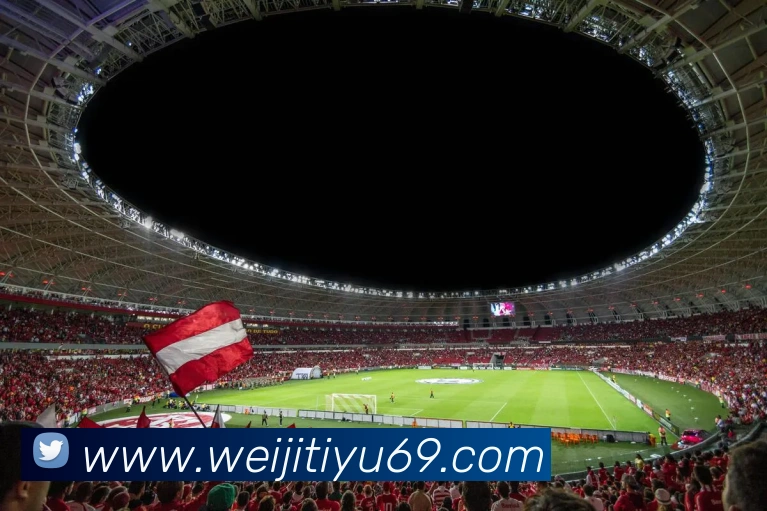 维基体育APP 封面图